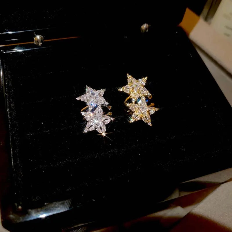 Earrings Jelifis